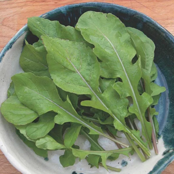 Arugula rocket (kg)