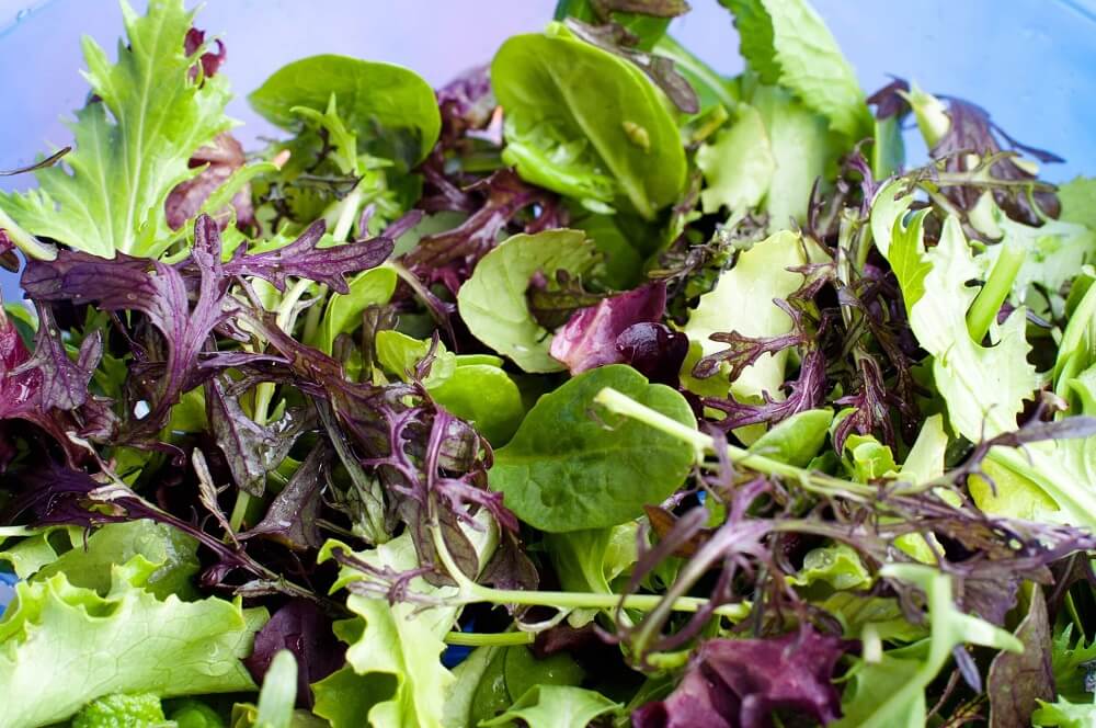 Ensalada mixta (kg)