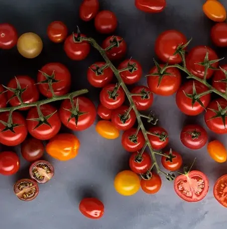 Tomate Ts'un p'aak (kg)